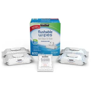 Kirkland Flushable Wipes - 632 CT